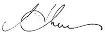 Signature of Professor Sue Thomas, Chief Executive Office