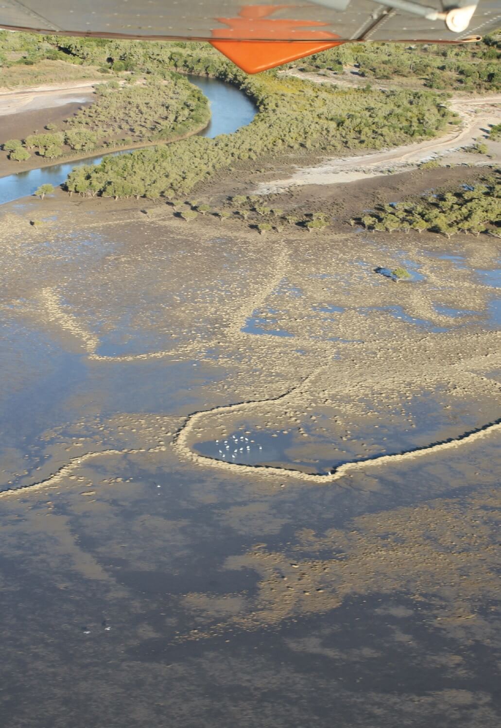 Aerial image of stone-walled intertidal fish traps against a shoreline populated with green bushland.