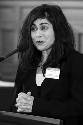 Professor Veena Sahajwalla speaking at the announcement of the 2014 fellowships