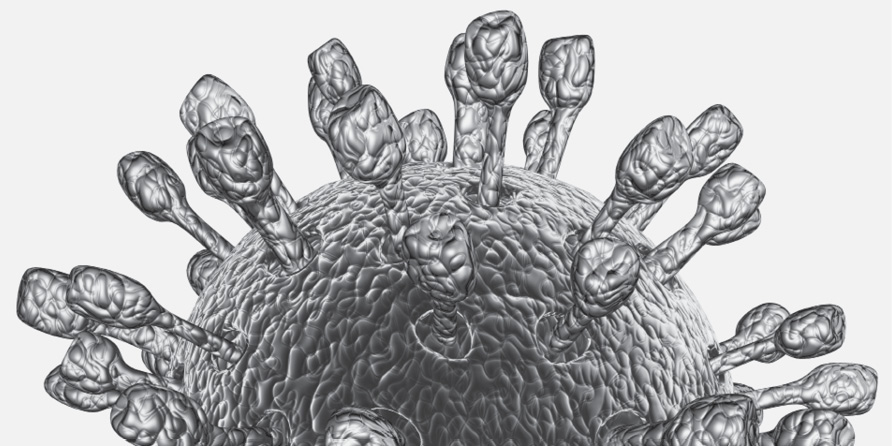 a photograph of rotavirus