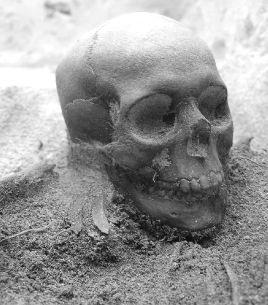 Black and white photograph of skull.