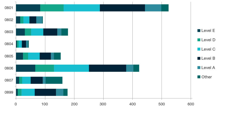 Stacked bar chart showing staffing profile by academic levels - Level E, Level D, Level C, Level B, Level A, and Other, for each four-digit code in Information and Computing Sciences - 0801, 0802, 0803, 0804, 0805, 0806, 0807 and 0899. Full details are outlined in the following table.