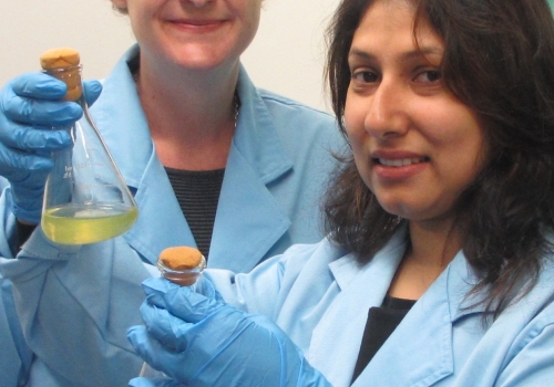 Dr Sasha Tetu, with PhD student, Ms Indrani Sarker